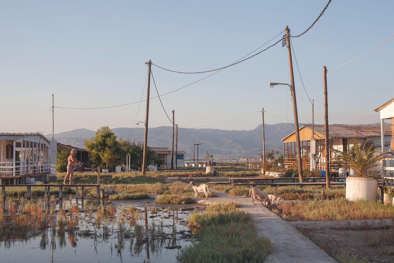 The Provinces – Kostas Ioannidis