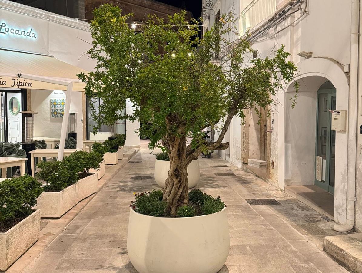 Host an Artist — Ostuni Foto Festival